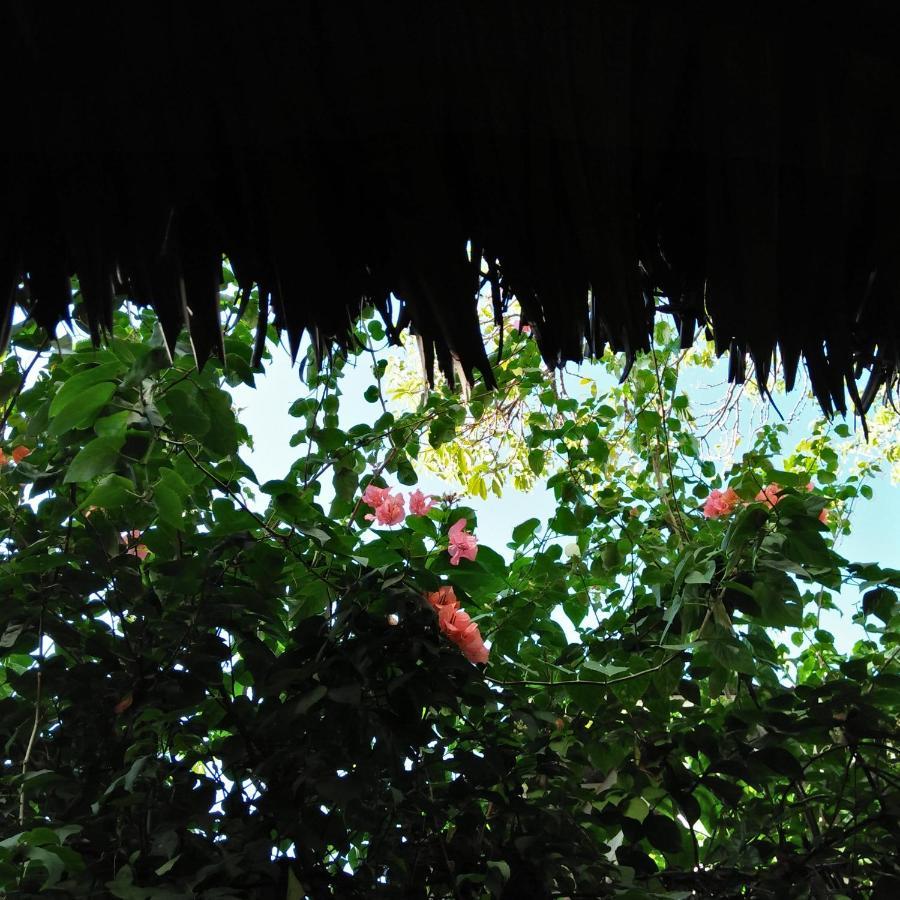 Cebu Pungko-Pungko Hostel Luaran gambar